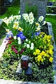 Grab mit Blumen